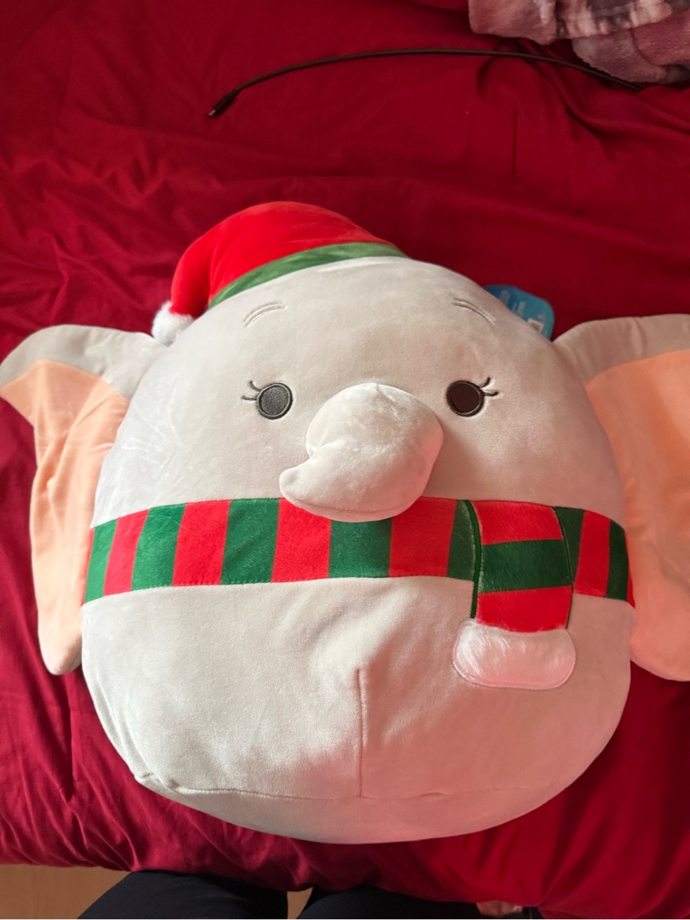 Disney Cream Dumbo Squishmallow with Red & Green Holiday Accents